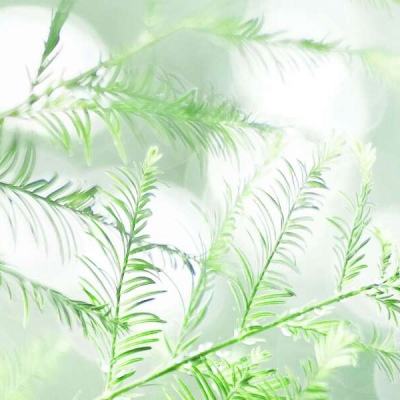 炫动光感官方破解版下载